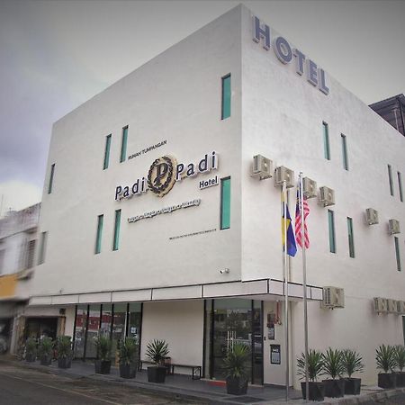 Padi Padi Hotel 캉가르 외부 사진